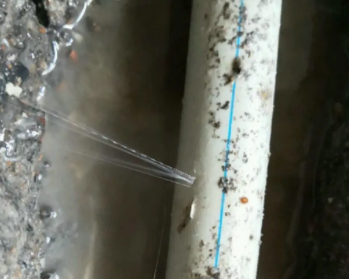 湄潭卫生间测漏水多少钱